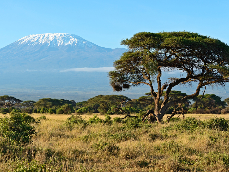 FROM MASAI MARA TO MOMBASA — 7